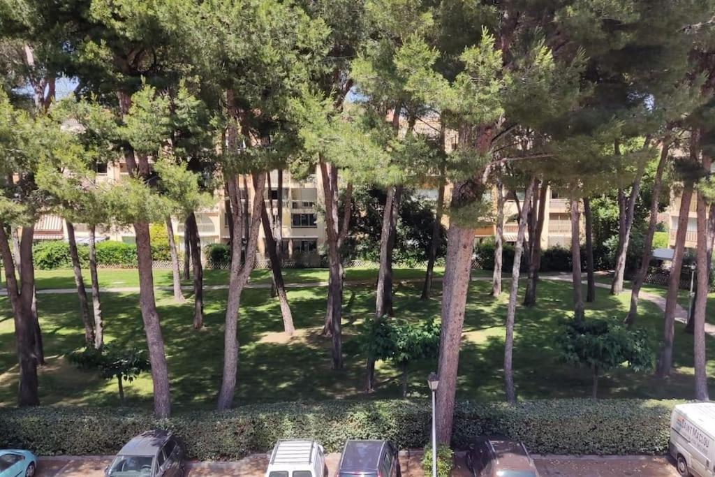 Bel Appartement Avec Piscine Proche Des Plages シス・フール・レ・プラージュ エクステリア 写真